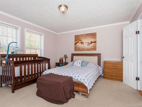 80 Maynard Rd, Candler, NC 28715 photo 9