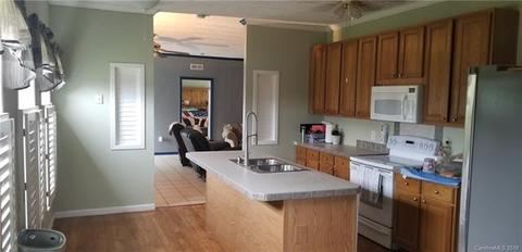 827 Pea Ridge Rd, Mill Spring, NC 28756 photo 9