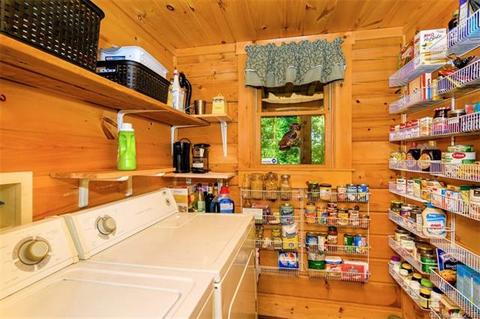 54 Silver Ridge Rd, Mill Spring, NC 28756 photo 12