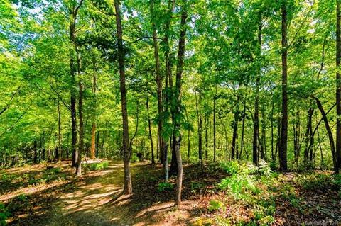 54 Silver Ridge Rd, Mill Spring, NC 28756 photo 19