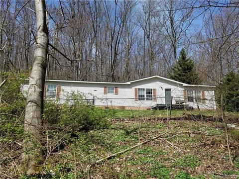 169 Spring Mountain Rd, Fairview, NC 28730 photo 1