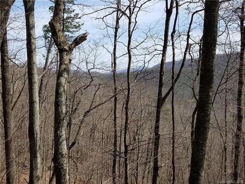 169 Spring Mountain Rd, Fairview, NC 28730 photo 4