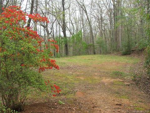 96 Tate Ln, Tryon, NC 28782 photo 18
