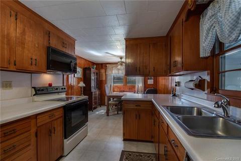 4733 N Nc Hwy 9 Hwy, Mill Spring, NC 28756 photo 11
