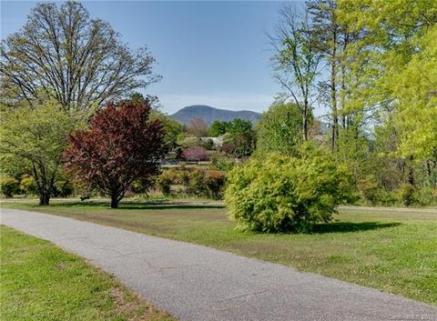 4733 N Nc Hwy 9 Hwy, Mill Spring, NC 28756 photo 4