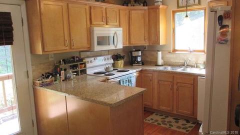 846 Bone Camp Rd, Marshall, NC 28753 photo 2