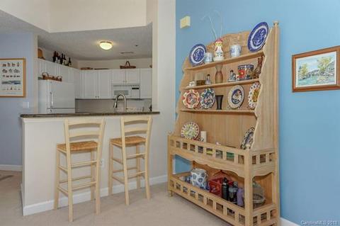 1103 Torrence Cir, Davidson, NC 28036 photo 9