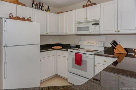 1103 Torrence Cir, Davidson, NC 28036 photo 10