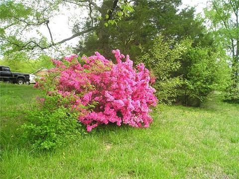 2501 Medlin Rd, Monroe, NC 28112 photo 7