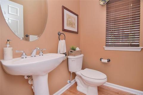 259 Choate Ave, Fort Mill, SC 29708 photo 14