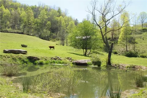 5639 Big Pine Rd, Marshall, NC 28753 photo 11