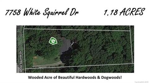 7758 White Squirrel Dr, Stanley, NC 28164 photo 10