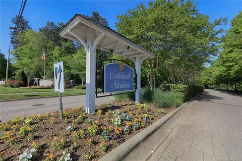 18015 Train Station Dr, Cornelius, NC 28031 photo 30
