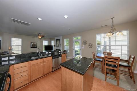 18015 Train Station Dr, Cornelius, NC 28031 photo 15