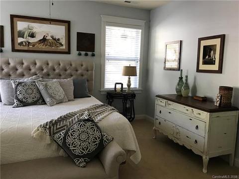 16947 Summers Walk Blvd, Davidson, NC 28036 photo 20