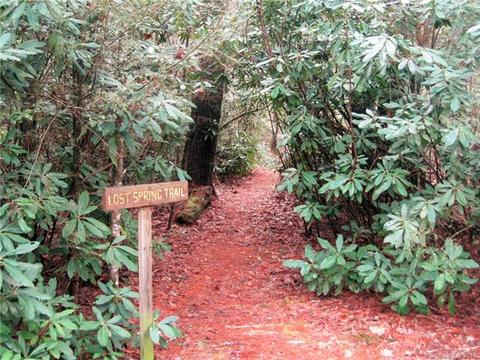 348 Surrey Ln, Brevard, NC 28712 photo 25