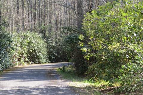 348 Surrey Ln, Brevard, NC 28712 photo 20