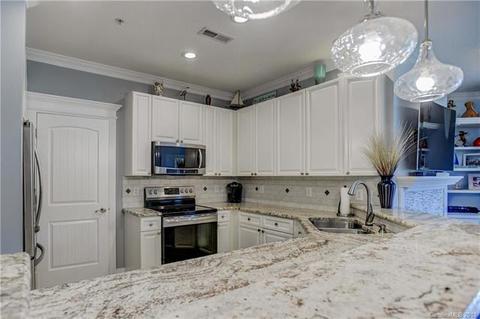 930 Jetton 28 St #28, Davidson, NC 28036 photo 9