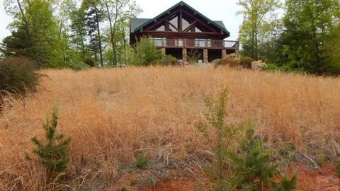 352 Arbra Mountain Way, Bostic, NC 28018 photo 1