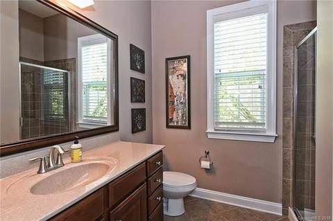 386 Windell Dr, Fort Mill, SC 29708 photo 19