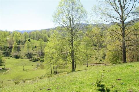5639 Big Pine Rd, Marshall, NC 28753 photo 20