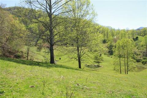 5639 Big Pine Rd, Marshall, NC 28753 photo 14