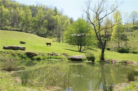 5639 Big Pine Rd, Marshall, NC 28753 photo 11