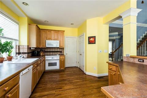 203 Fairview Ln, Davidson, NC 28036 photo 10