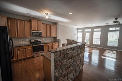 8308 Viewpoint Ln, Cornelius, NC 28031 photo 8