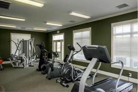 16921 Doe Valley Ct, Cornelius, NC 28031 photo 29