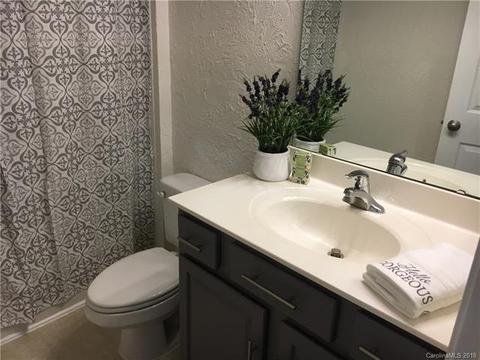 16921 Doe Valley Ct, Cornelius, NC 28031 photo 20
