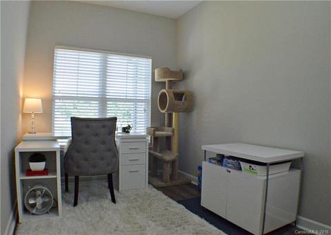 16921 Doe Valley Ct, Cornelius, NC 28031 photo 22