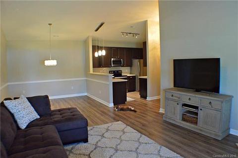 16921 Doe Valley Ct, Cornelius, NC 28031 photo 10