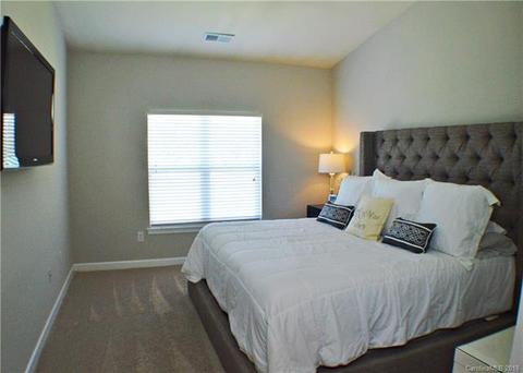 16921 Doe Valley Ct, Cornelius, NC 28031 photo 13