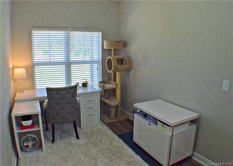 16921 Doe Valley Ct, Cornelius, NC 28031 photo 21
