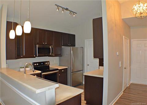 16921 Doe Valley Ct, Cornelius, NC 28031 photo 3