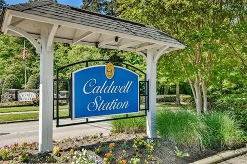 18430 Train Station Dr, Cornelius, NC 28031 photo 24