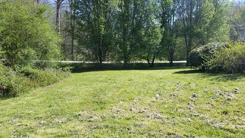 238 Happy Valley Rd, Sylva, NC 28779 photo 3