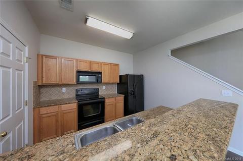 18482 Streamline Ct, Cornelius, NC 28031 photo 8