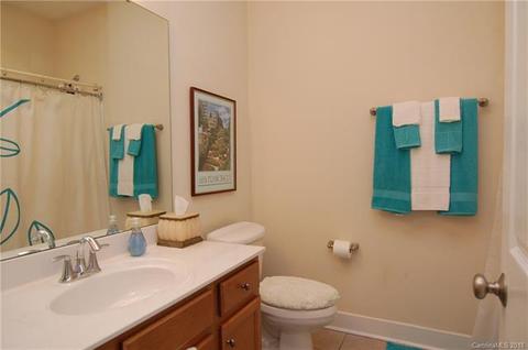238 Harbour Place Dr, Davidson, NC 28036 photo 10