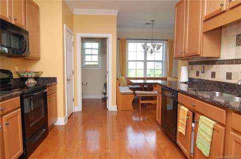 238 Harbour Place Dr, Davidson, NC 28036 photo 3