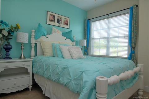 238 Harbour Place Dr, Davidson, NC 28036 photo 7
