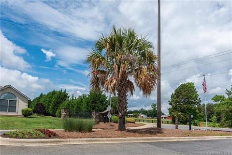 239 Point Wylie Ln, Fort Mill, SC 29708 photo 25