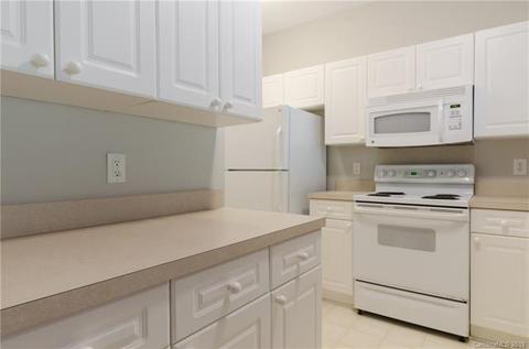757 Peninsula Dr, Davidson, NC 28036 photo 5