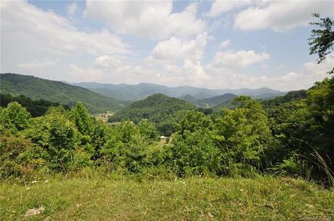 671 Black Bear Cv, Clyde, NC 28721 photo 24