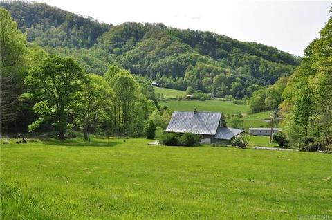 671 Black Bear Cv, Clyde, NC 28721 photo 16
