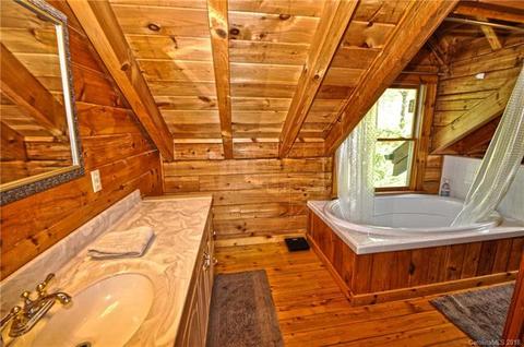 671 Black Bear Cv, Clyde, NC 28721 photo 8