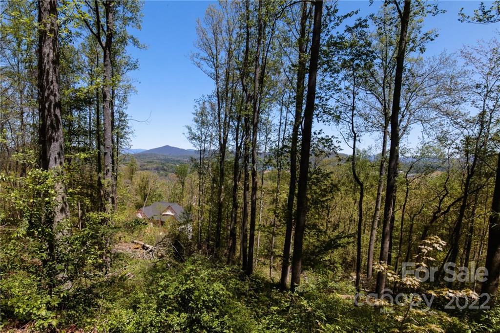 111 Waightstill 340 Dr Unit 340  