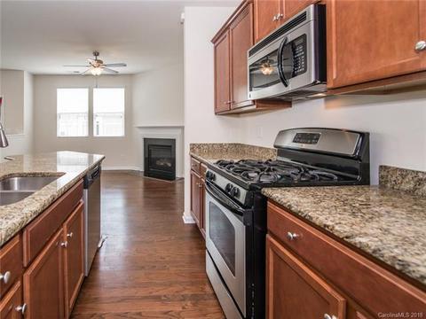 8234 Viewpoint Ln, Cornelius, NC 28031 photo 24
