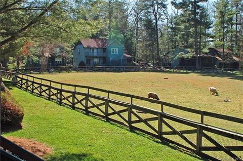 116 Rhett Dr, Flat Rock, NC 28731 photo 23